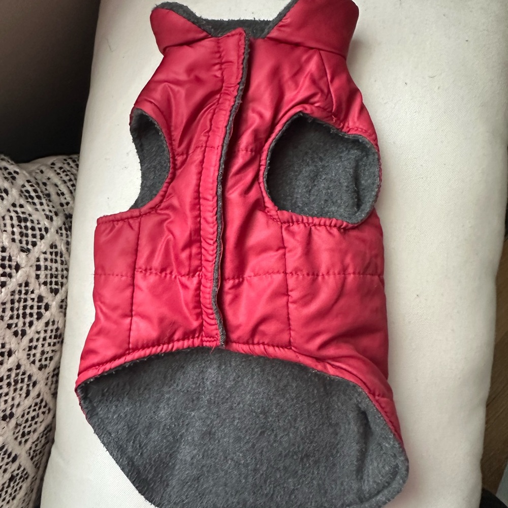 Winter Jacket - Picture 1 of 2